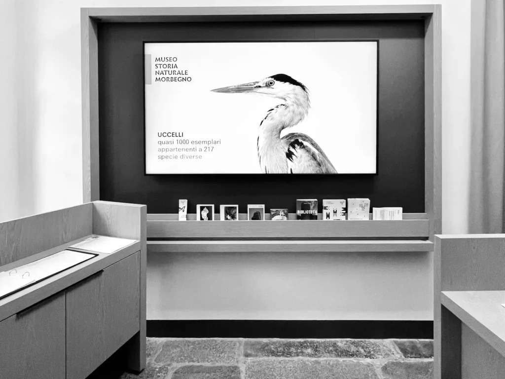 Museo Storia Naturale Morbegno