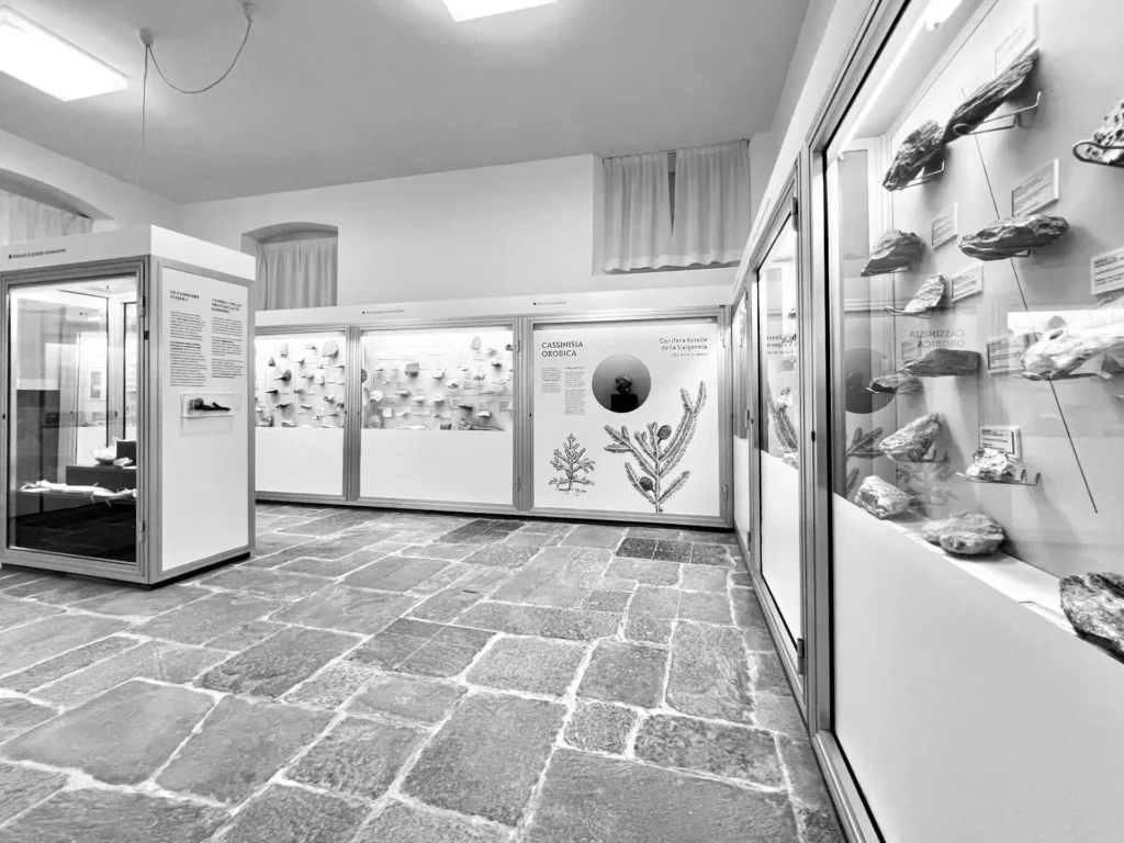 Museo Storia Naturale Morbegno