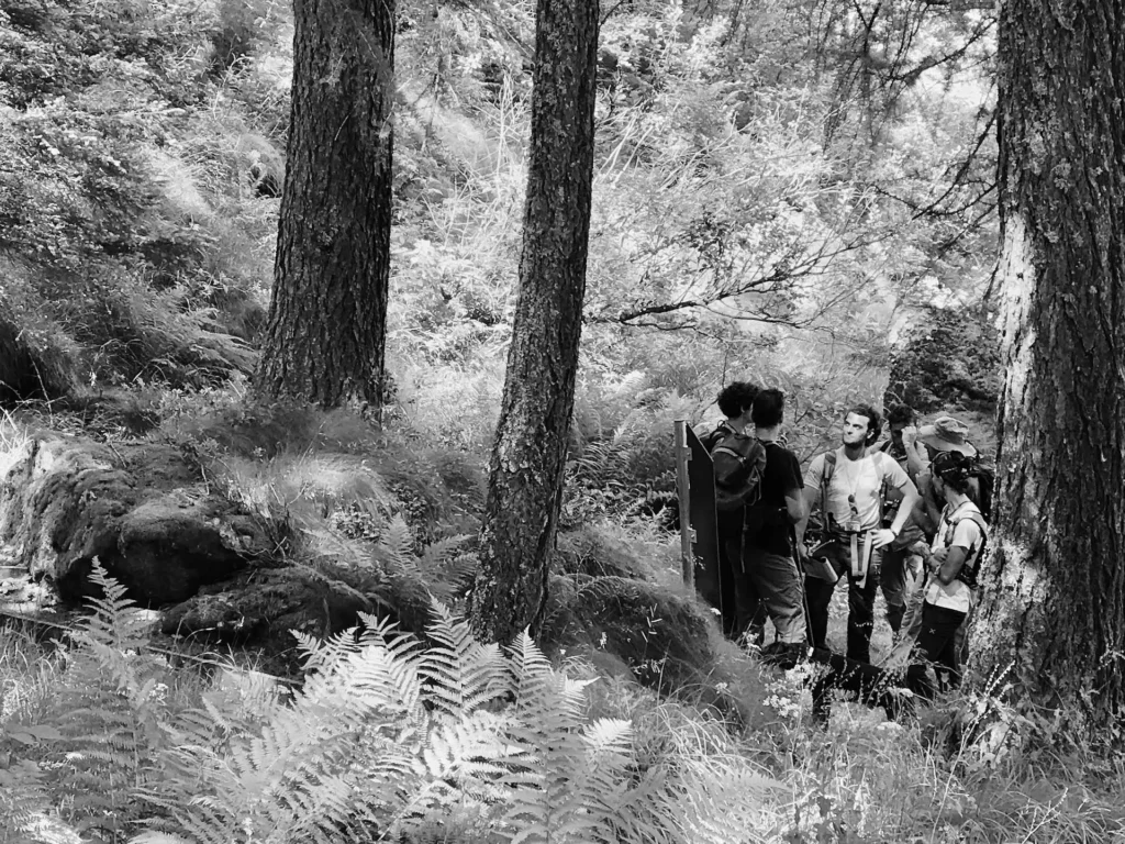 Parco Naturale Mont Avic