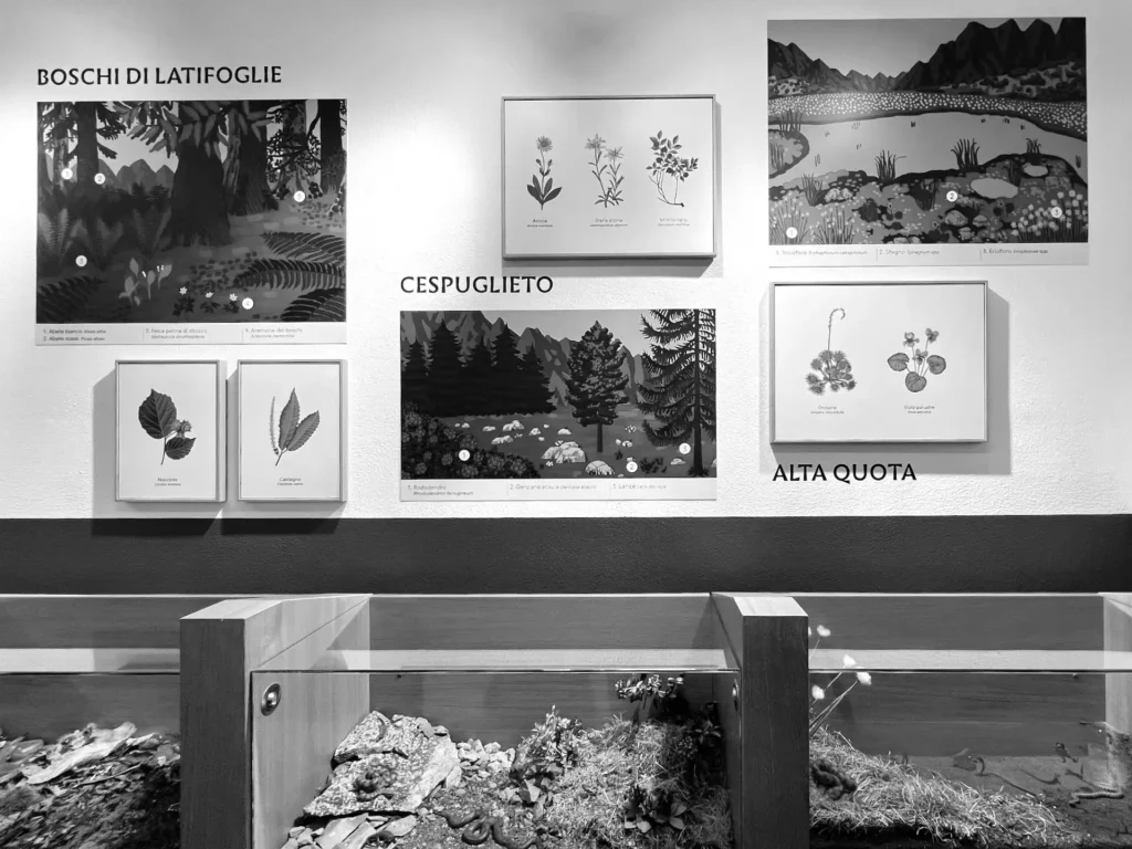 Museo Storia Naturale Morbegno