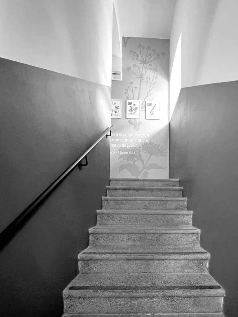 Museo Storia Naturale Morbegno