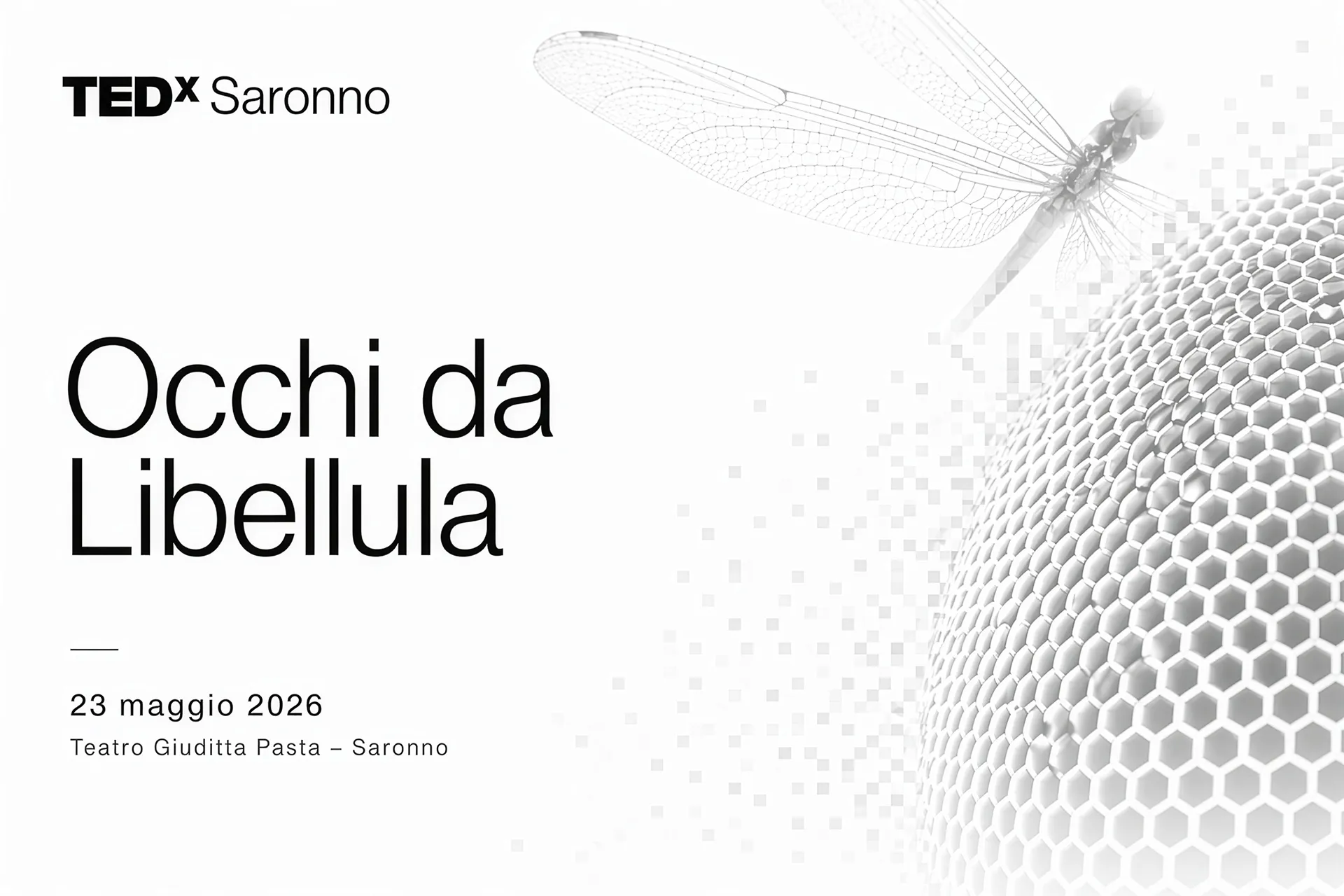 TEDx Saronno 2026: occhi da libellula